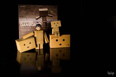 Danboard and Mini Danboard