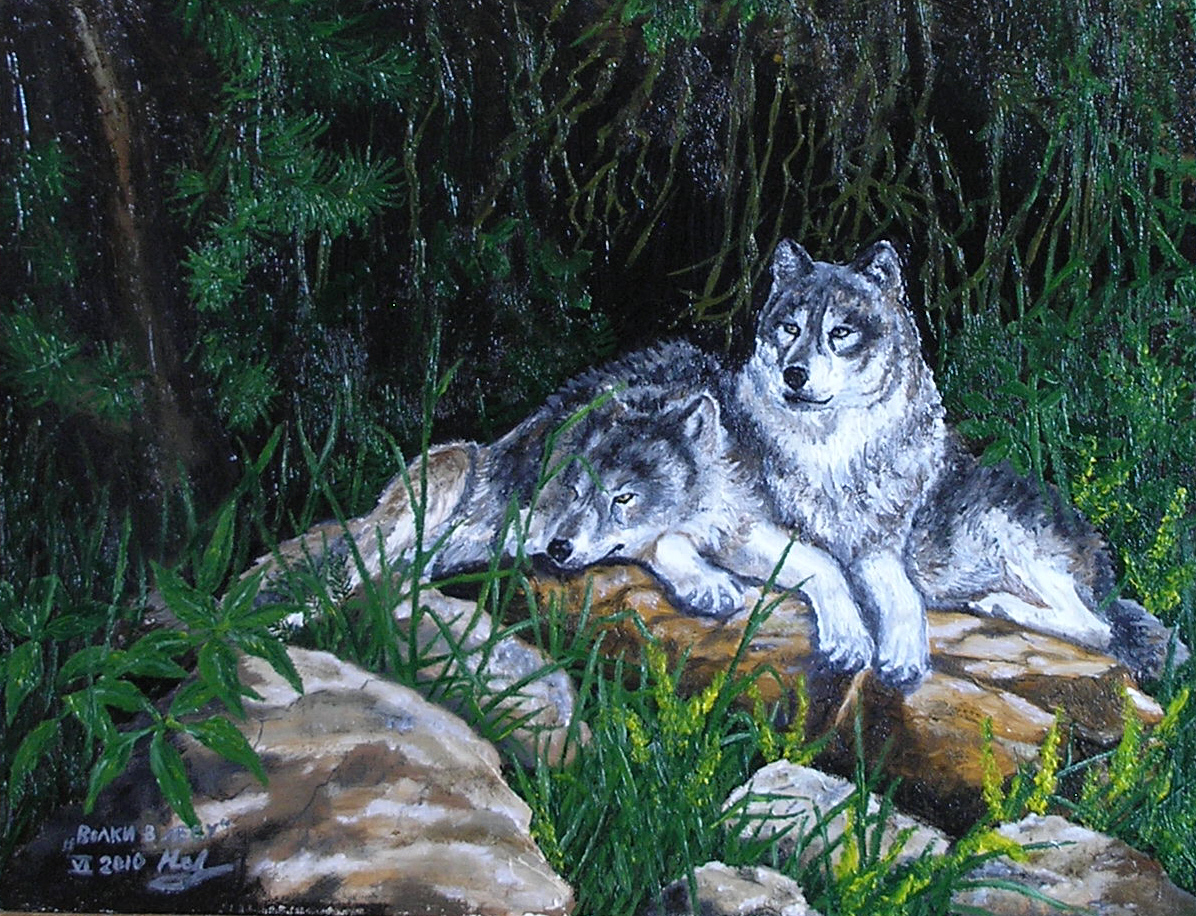 Wolves in the forest