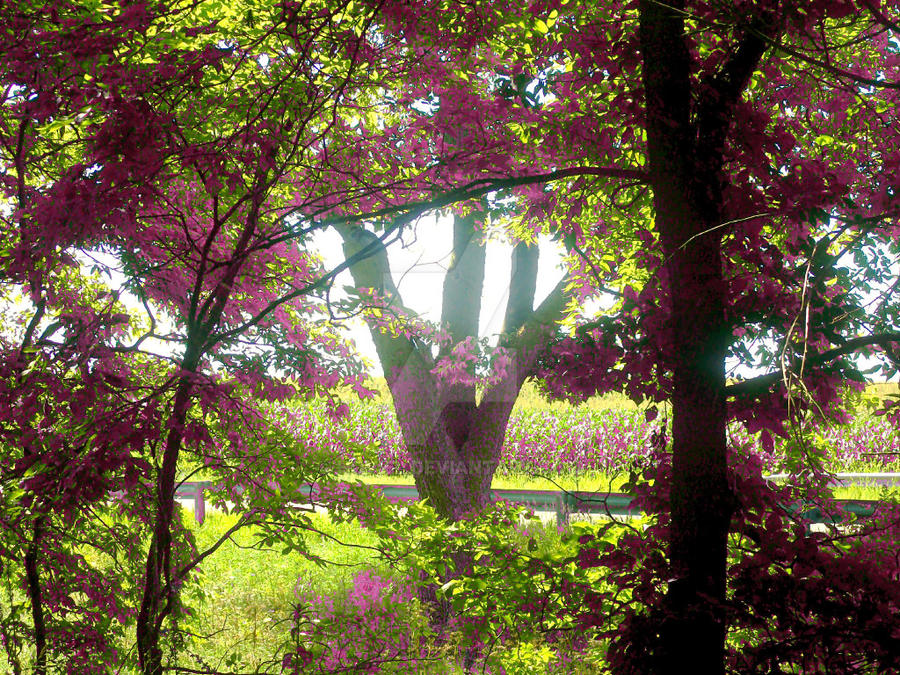 Rual Life by Hoviel on DeviantArt