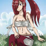 Erza Scarlet Fan Art II