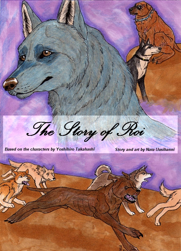 The Story of Roi cover