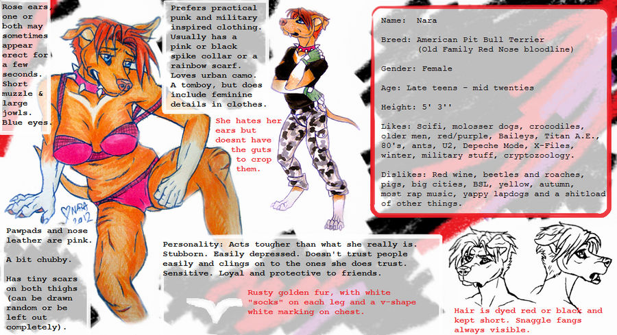 Nara Reference Sheet 2012