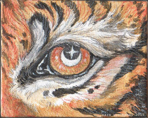 Tiger Eye Mini