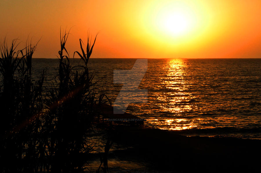 Sunset Reed Set Sunset and Reeds by AdamCanfield on DeviantArt