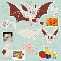 Reference Sheet - Kuda