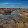 Natural Pool