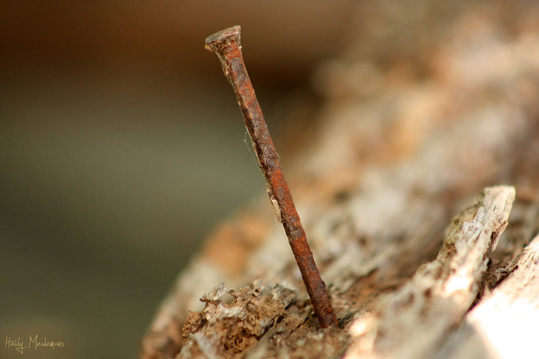 Rusted nail by mhubregtse on DeviantArt