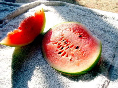 Sunlit Mellon