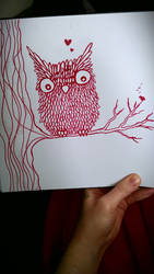 Red owl