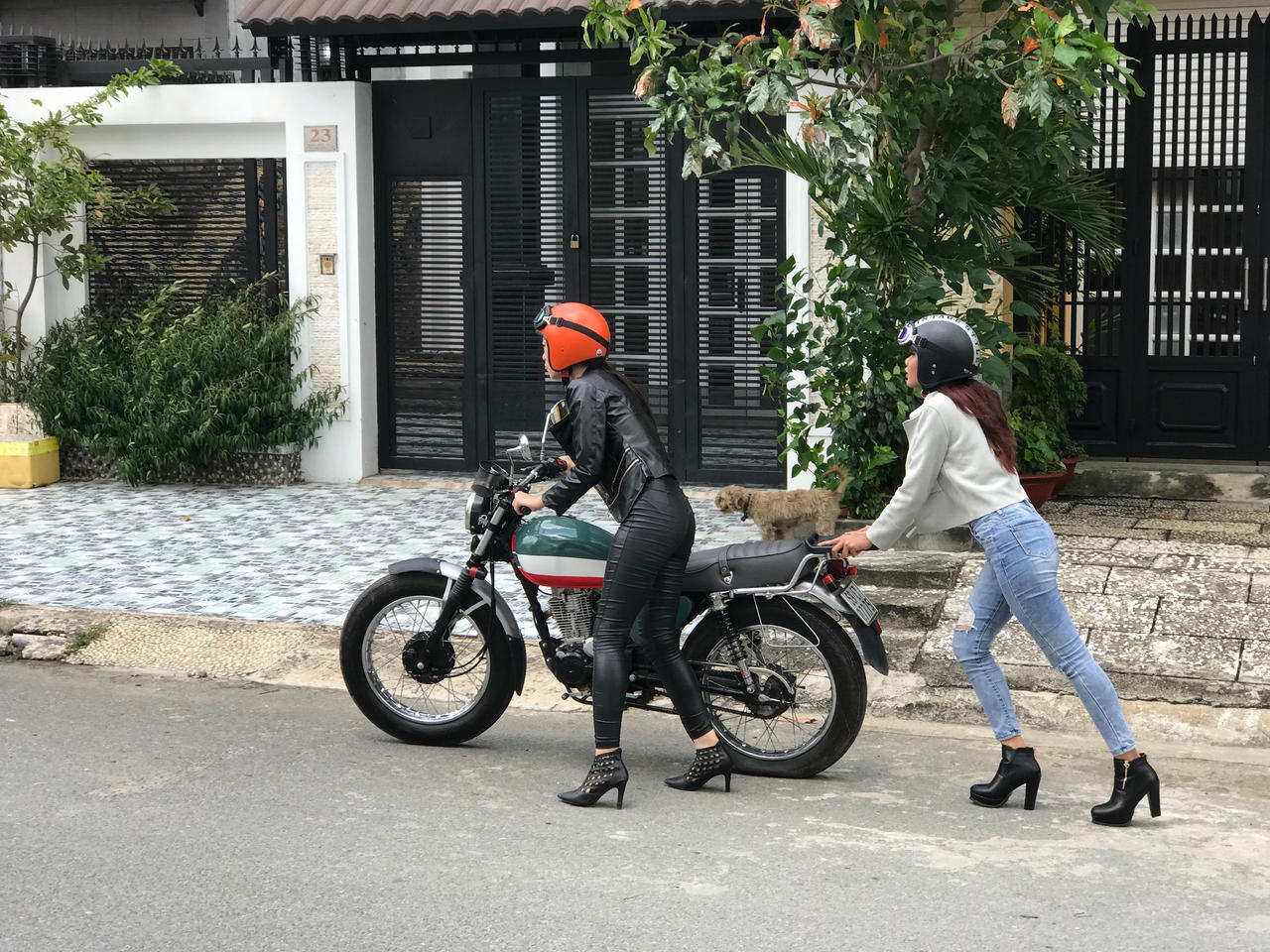 wolf Push by loveflat1 on DeviantArt