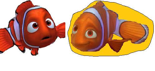 Nemo meets his Mum (Coral) by Teaganm on DeviantArt