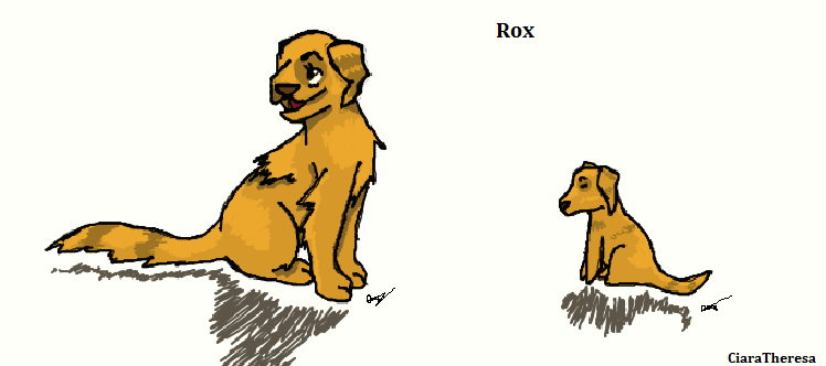 Rox Colored
