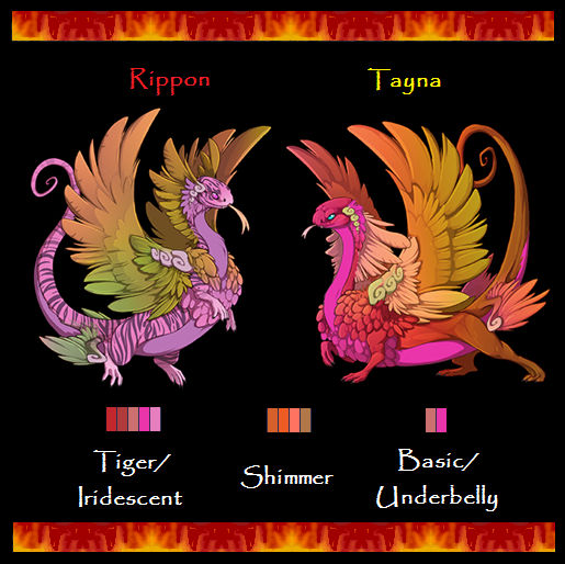 Rippon and Tayna by Kedia26 on DeviantArt