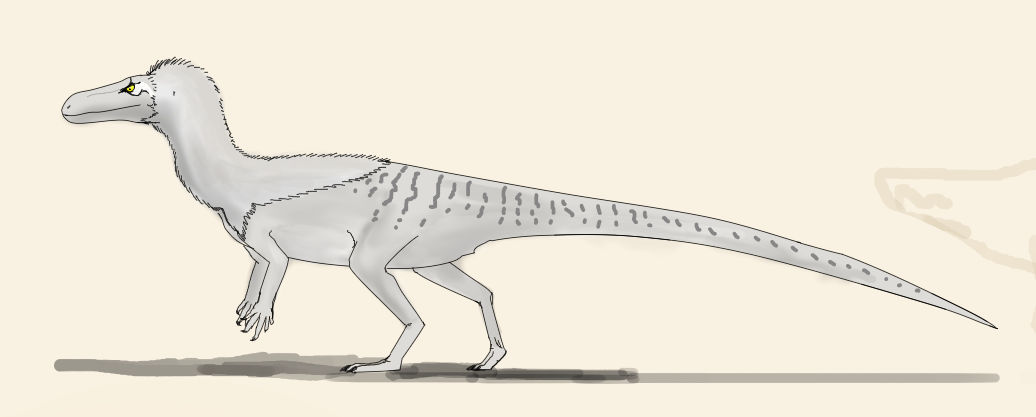 Saltopus elginensis by Tupandactyl on DeviantArt