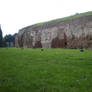 .Wall and grass.