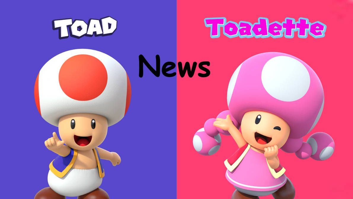 Toad and Toadette News by Ruensor on DeviantArt