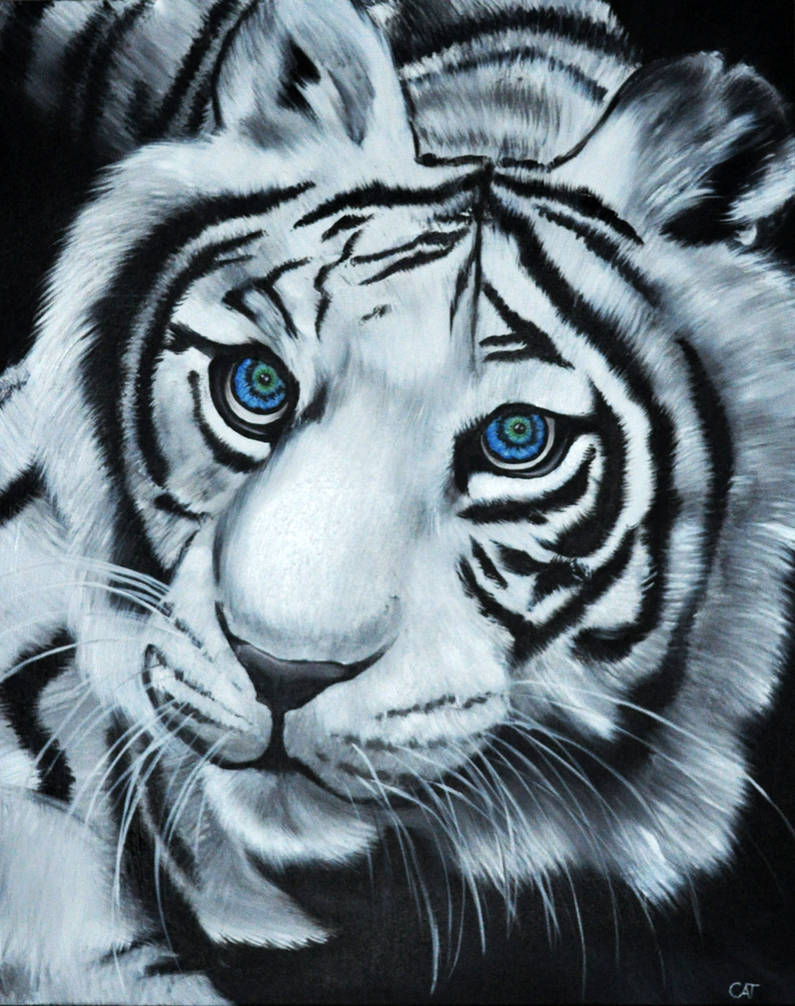 White Siberian Tiger