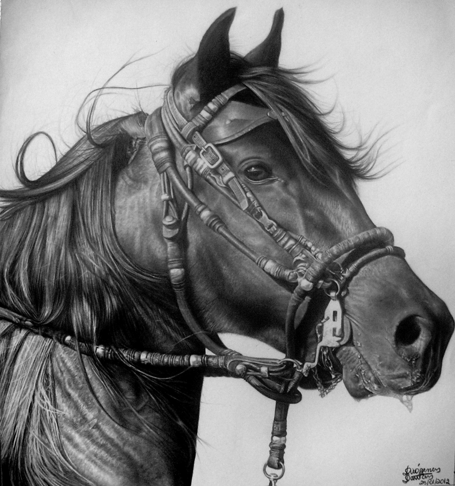 Desenho realista cavalo  Desenho realista, Desenho, Realista