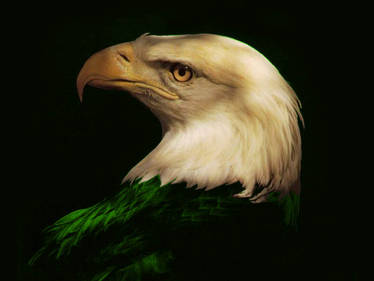 Green Eagle