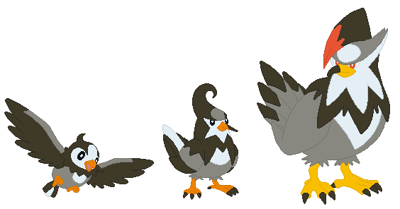 Starly, Staravia and Staraptor Base