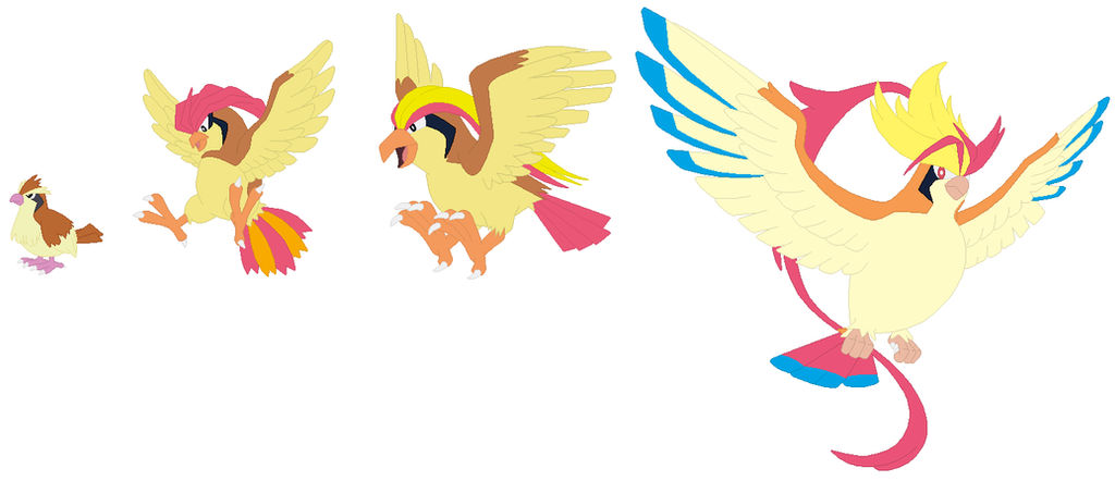 Pidgey, Pidgeotto, Pidgeot and Mega Pidgeot Base