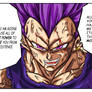 Vegeta CH84