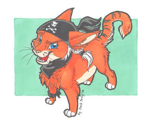 The pirate cat