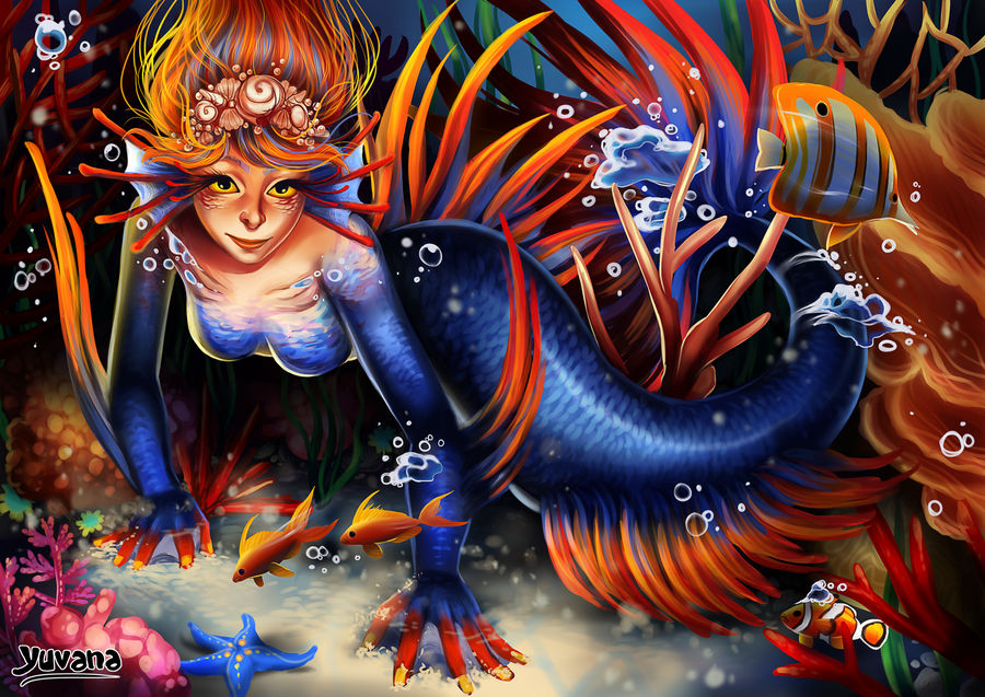 Crowntail Betta Mermaid