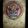 Jackalope