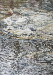 A Heron Therein
