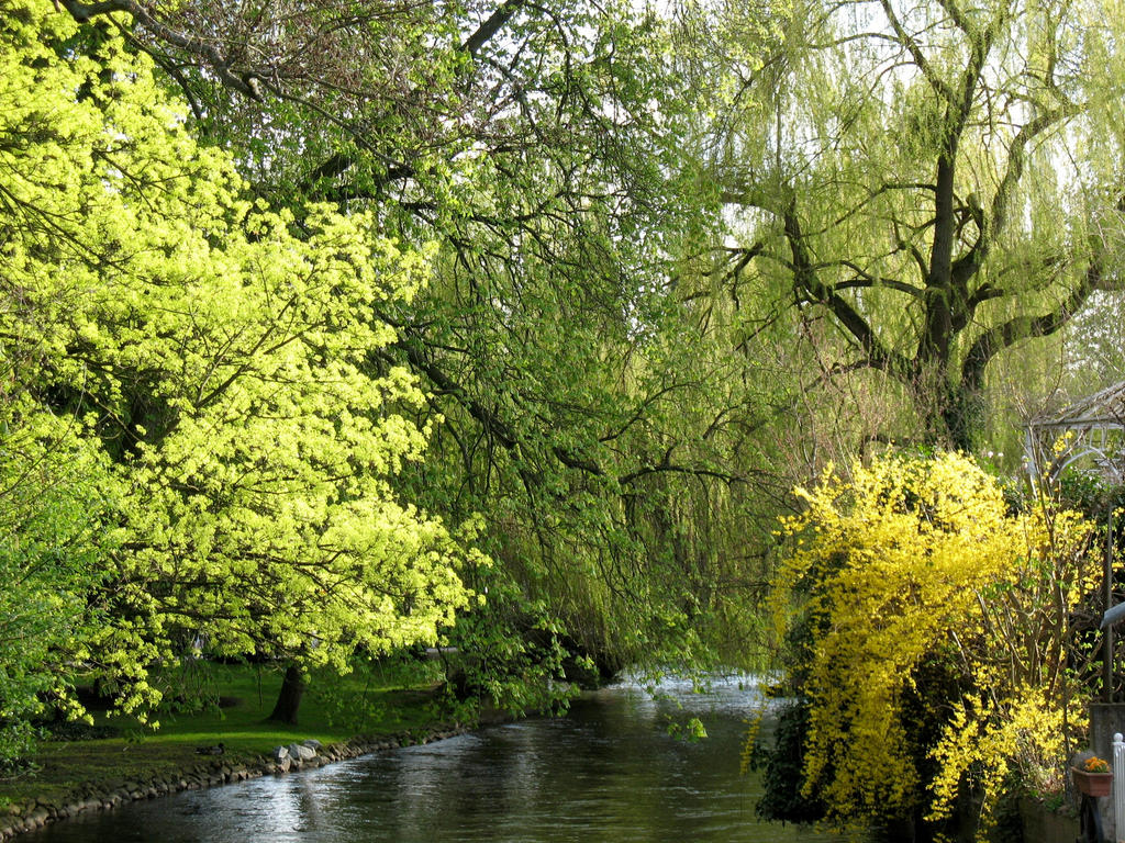 Spring Greenness Spring Green by artamusica on DeviantArt