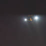 C17 under Light Level