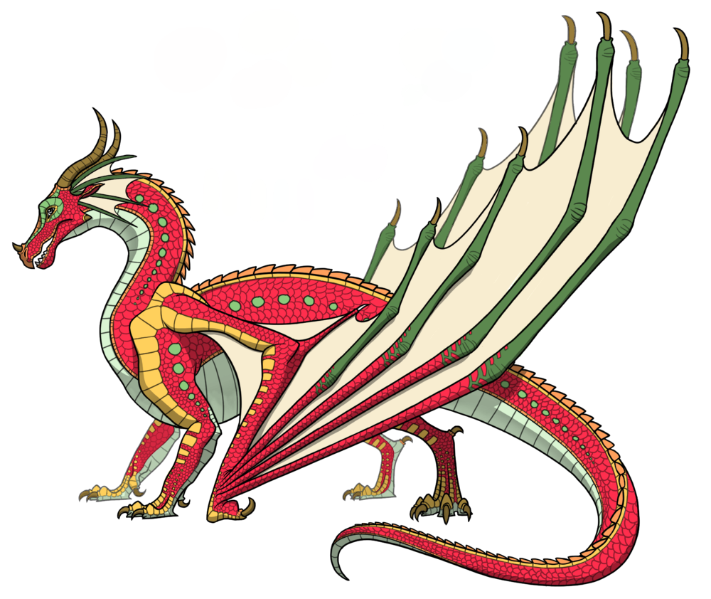 Red Rainwing Skywing / Rainwing hybrid by lolipopcorn07 on DeviantArt