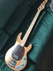 Stagg bass