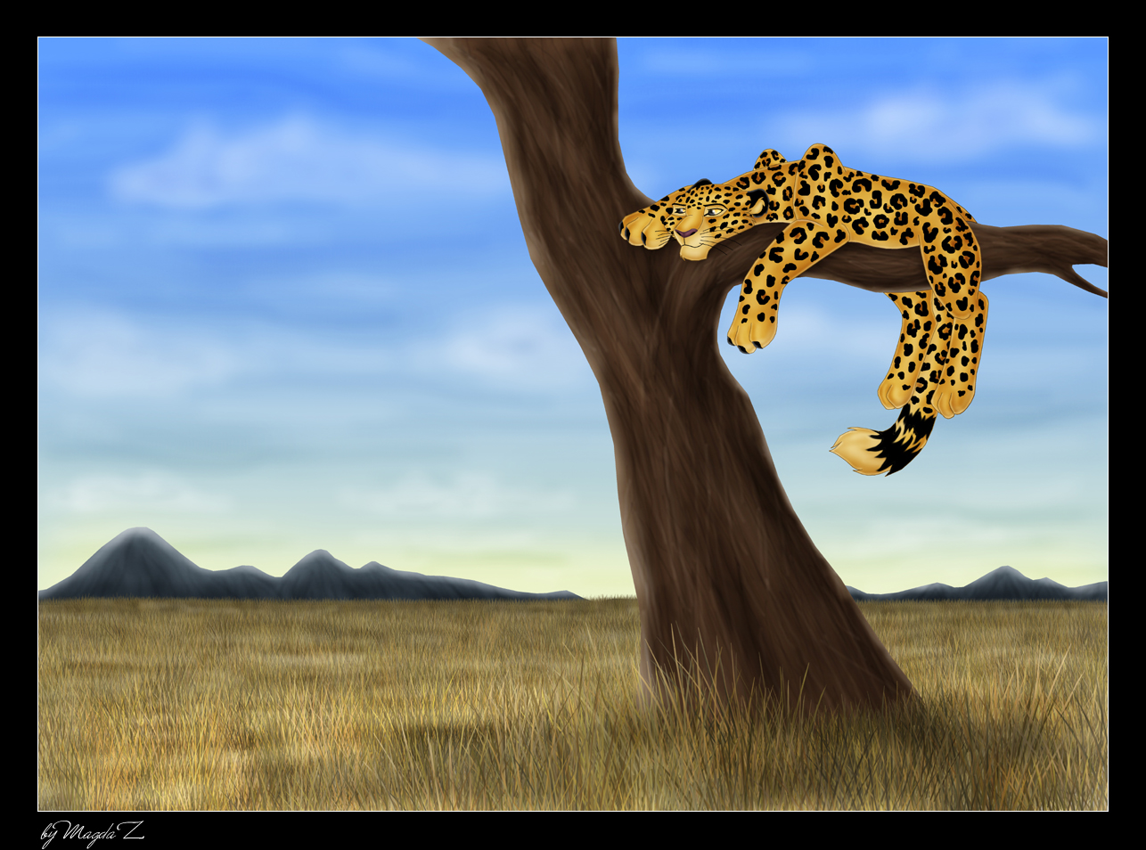 The leopard