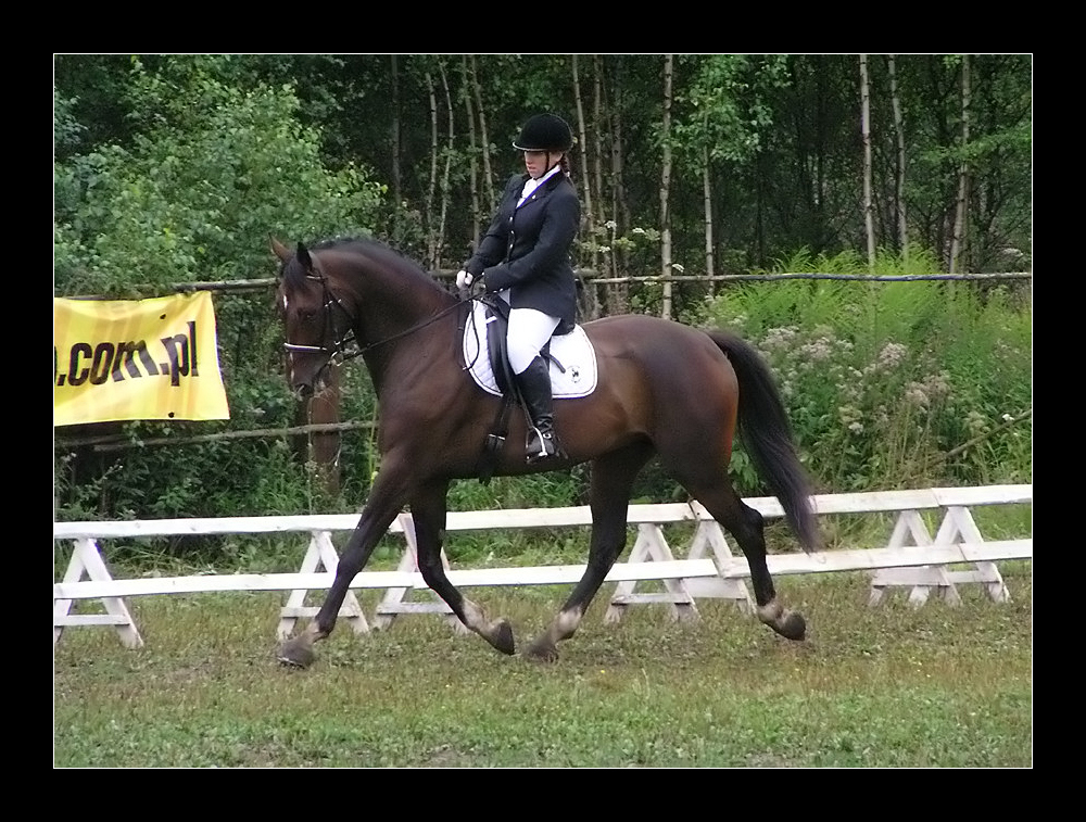 Dressage 1