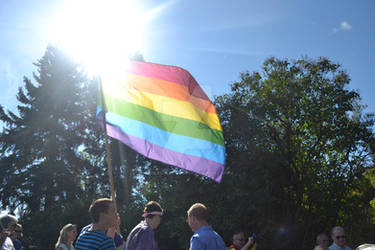 IFHS PRIDE RALLY 2013