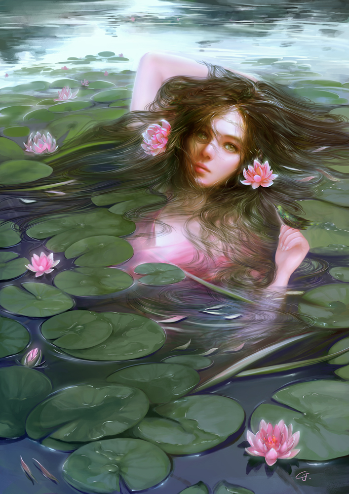 Waterlily