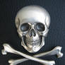 silver skull and cross bones