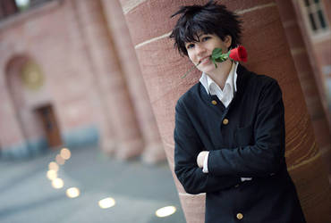 DC - Rose from Kaito -