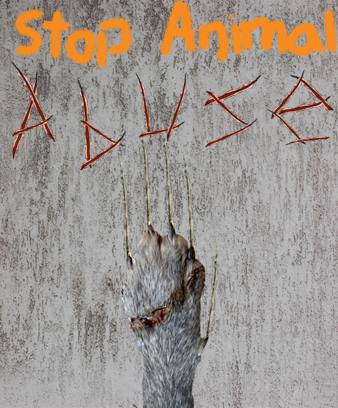Stop Animal Abuse poster by TigerDragon1001 on DeviantArt