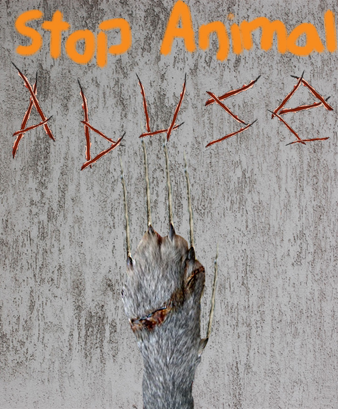 Stop Animal Abuse poster by TigerDragon1001 on DeviantArt Stop Animal Abuse poster by TigerDragon1001 on DeviantArt