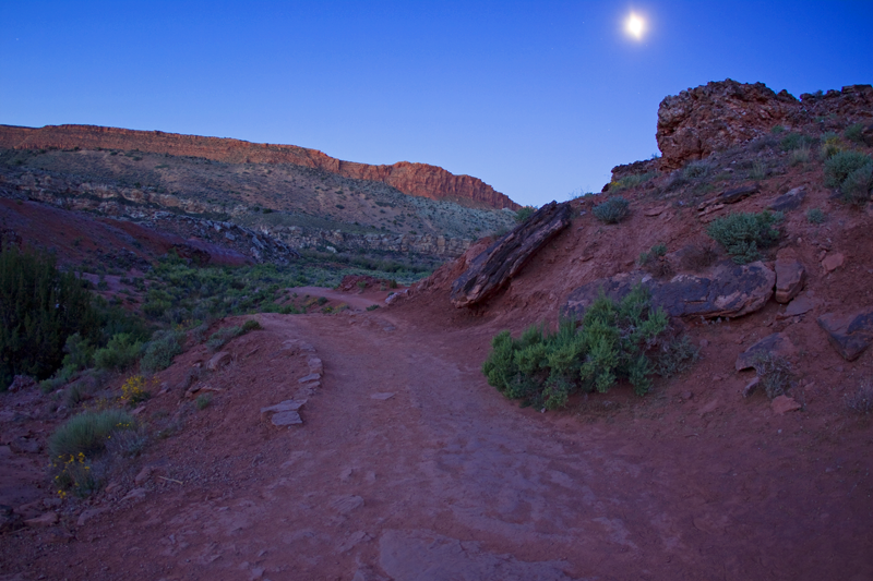 hiking by moonlight