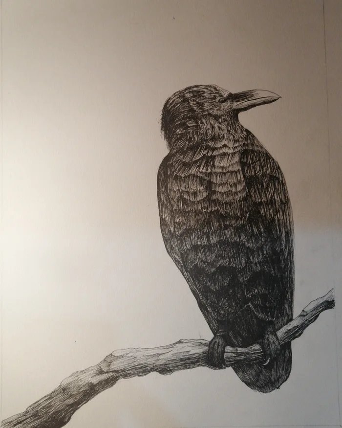 Artist Using Ink Crow Ink crow by PaulAbraham95 on DeviantArt