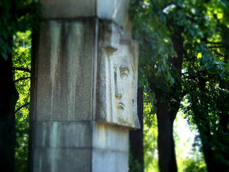 memorial park face