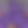 Gengar facesits on Flareon