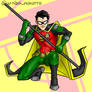 Teen Titans Robin