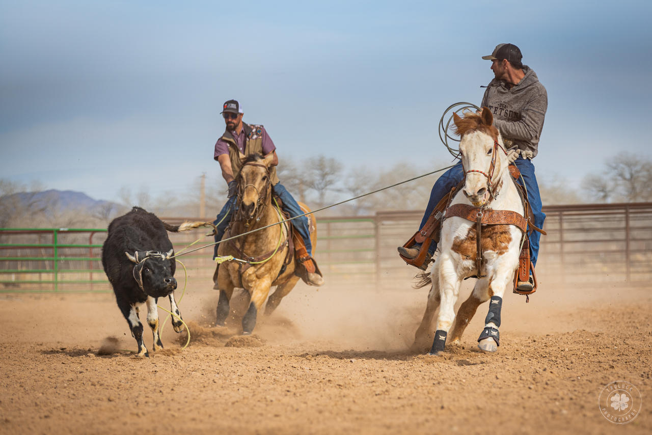 Team Roper Vector Team Roper Clipart Cody Johnson To Host Team Roping, Charity Event In
