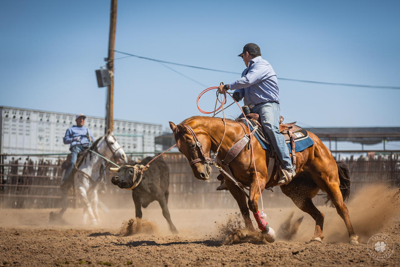 Team Roper Clipart Cody Johnson To Host Team Roping, Charity Event In