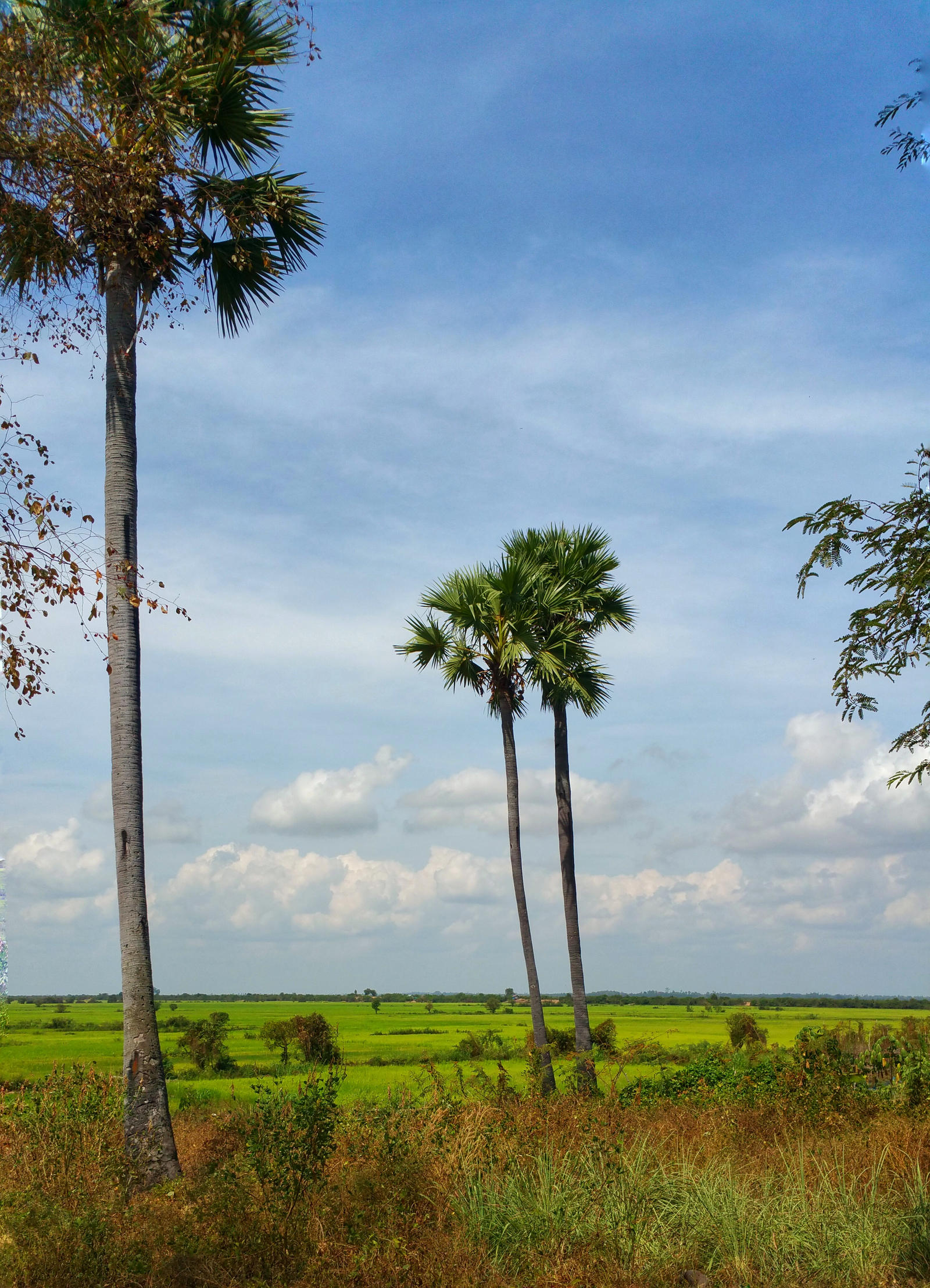 Cambodian countryside by Elon49 on DeviantArt